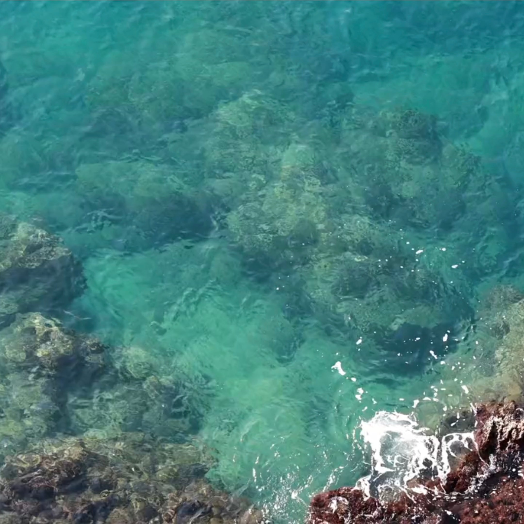 Fermentierte Wirkstoffe in der Skincare: Marine Peptide & Hautbarriere Pflege für gesunde Haut